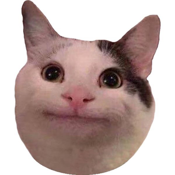 Beluga cat meme